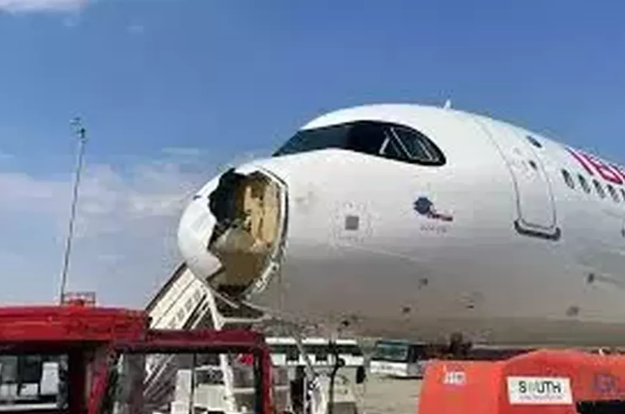 Pesawat Iberia Mendarat Darurat di Madrid Usai Tabrak Burung Besar