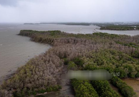 Indonesia-Inggris Perkuat Kerja Sama Pengelolaan HutanIndonesia-Inggris Perkuat Kerja Sama Pengelolaan Hutan