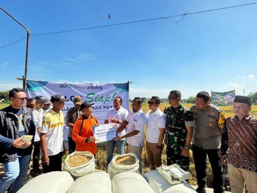 Tembus 1 Juta Ton, Bulog Tetap Optimalisasi Penyerapan Panen Raya 2025