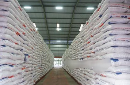 Produksi Beras Nasional Januari-Juli 2025 Tembus 21,76 Juta Ton, Naik 14,49 Persen