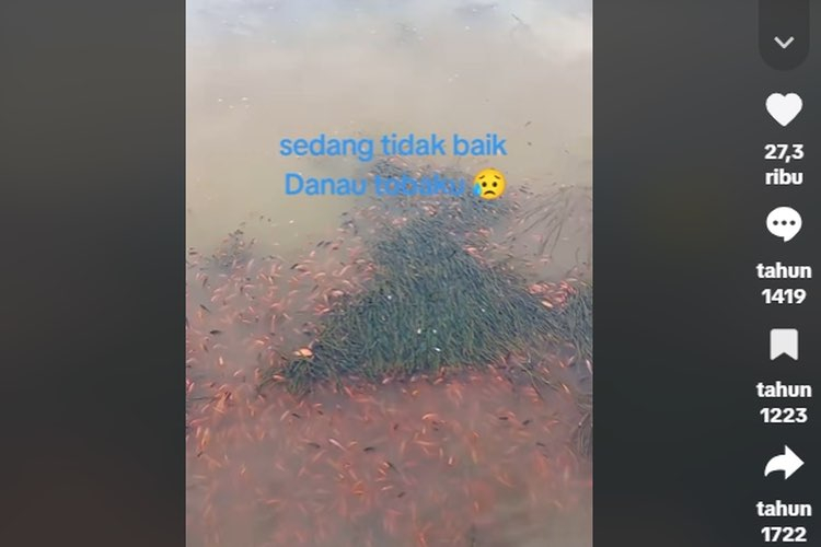 Ribuan Ikan Mati di Danau Toba, BRIN Ungkap Ancaman Gas Beracun Bawah Air