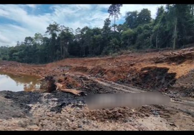 Kemenhut Buru Penambang Ilegal yang Rusak Hutan Pendidikan Unmul