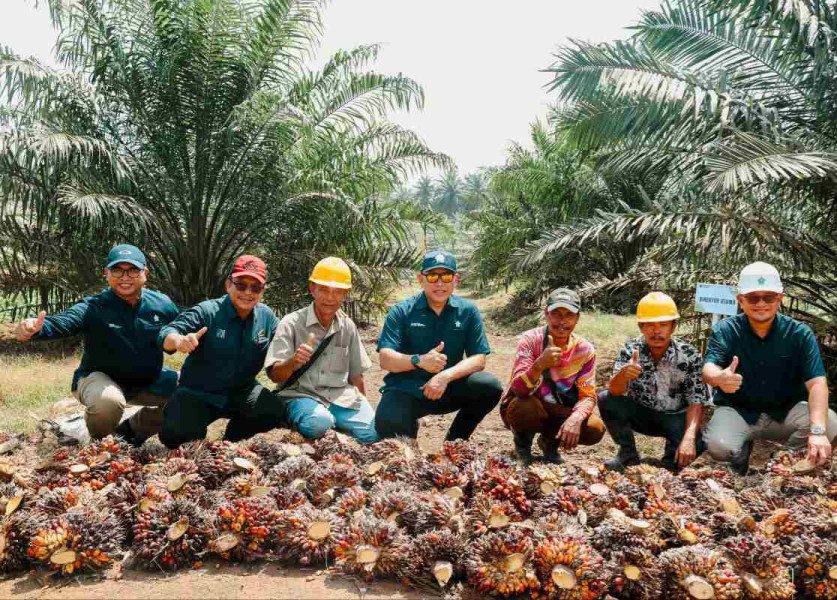 Dirut PalmCo Tantang Regional III Tingkatkan Produktivitas CPO 27 Persen Capai 7 Ton Per Hektare