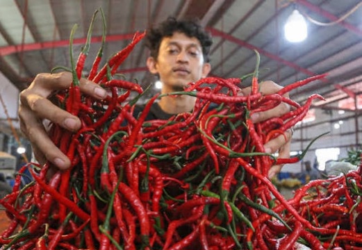 Harga Cabai Melonjak, Pengamat Sebut BUMD Pangan Jadi Solusi Konkret Atasi Inflasi Riau