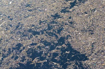 Komisi IV DPR Panggil Menhut Raja Juli Bahas Banjir Gelondongan Kayu