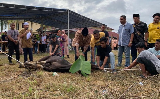 Polres Kampar Riau Bagikan 7 Ekor Sapi Kurban ke Masyarakat