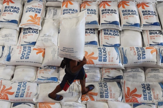 Bansos Beras 20 Kg untuk 18,3 Juta Keluarga, Disalurkan Akhir Juni 2025