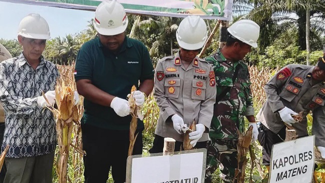 Indonesia Panen Perdana Jagung PT Astra Agro Lestari di Sulbar Dukung Ketahanan Pangan Nasional