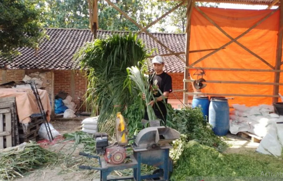 Pengusaha Pakan Ternak Ponorogo Buktikan KUR BRI Dorong Usaha Tumbuh Pesat