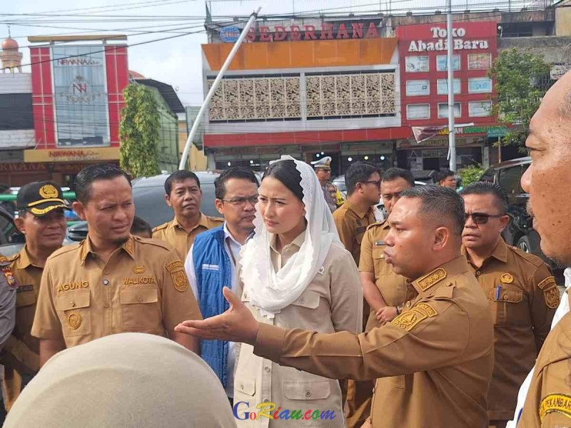 Harga Stabil di Pasar Cik Puan Pekanbaru, Gubernur Riau Apresiasi Peran BUMD Pangan