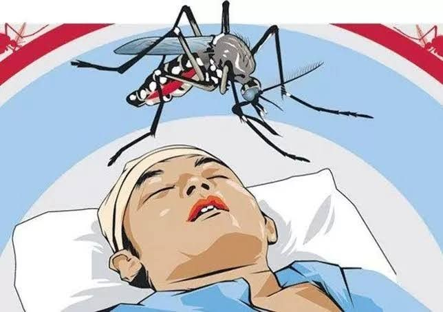 Kasus DBD Meningkat Tajam, Dua Puskesmas di Kepulauan Meranti Jadi Fokus Pengawasan