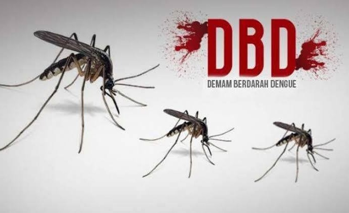 DBD Mengancam, DPRD Pekanbaru Imbau Puskesmas Turun Langsung