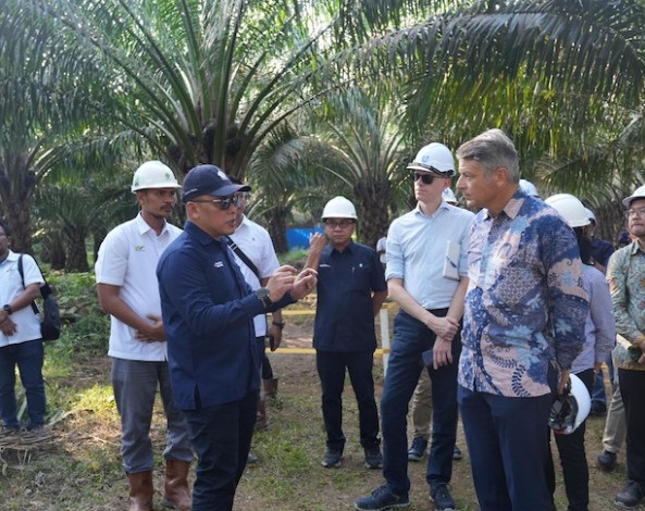 Dubes Uni Eropa Apresiasi Strategi PTPN IV PalmCo Wujudkan Industri Sawit Berkelanjutan