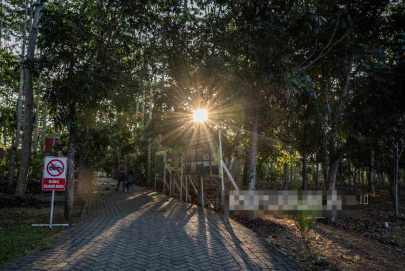 Susah Payah Melindungi Hutan Kalsel, Paru Dunia yang Semakin Tersakiti