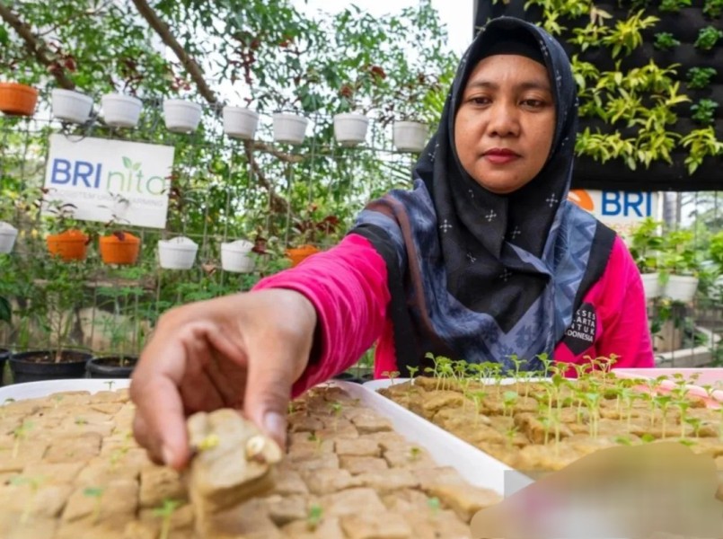 BRI Diakui Dalam Pengembangan Urban Farming Dan Pemberdayaan Perempuan