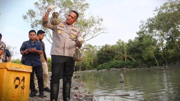 Polres Batubara Gagalkan Penyelundupan 300 Ekor Belangkas ke Malaysia