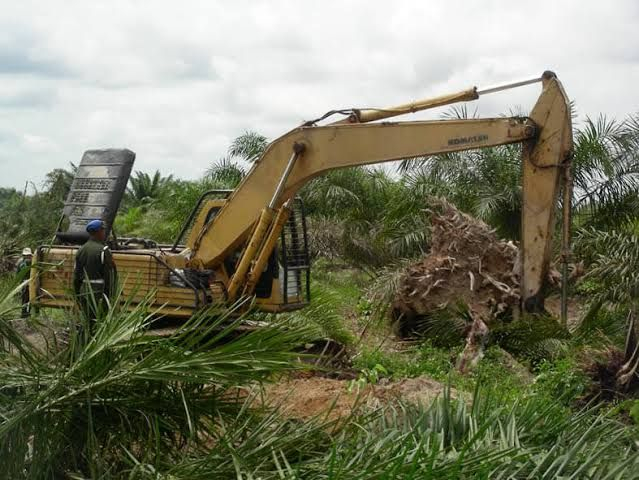 Negara Resmi Kuasai Kembali Taman Nasional Tesso Nilo, Pegiat LH Riau Sebut 2 Hal Ini Sebaiknya Segera Dilakukan