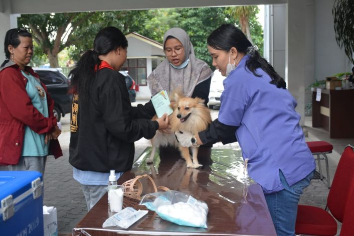 Sebanyak  13.212 Hewan Peliharaan di Riau Disuntik Vaksin Rabies