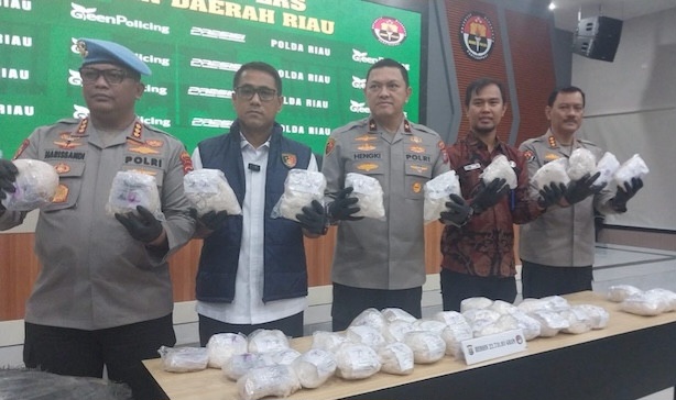 Polda Riau Sita Heroin Senilai Rp68 Miliar, Dikubur di Kebun Cabai dan Sawit