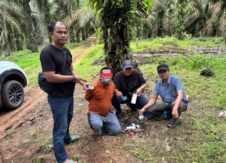 Tiga Pekan Buron, Pelaku Pembunuhan Guru di Kampar Berhasil Diringkus di Sumut