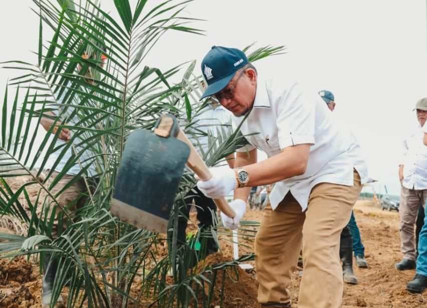 Jaga Keberlanjutan, 949,6 Ha Sawit Renta PTPN IV Regional III Diremajakan