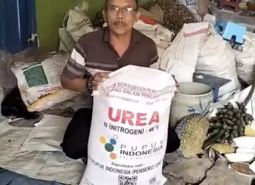 Tahun Baru Langsung Tebus Pupuk Bersubsidi! 147 Transaksi Pecah Hanya dalam 16 Menit