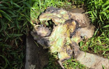 Badan-Ekor Pesawat ATR 42-500 Ditemukan di Lereng Puncak Bulusaraung