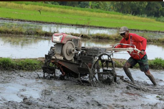 Dukung Swasembada Pangan, Pemkab Mukomuko Merehabilitasi 110 Jaringan Irigasi