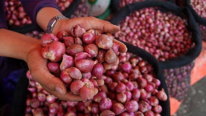 Harga Bawang Merah Terus Meroket di Pekanbaru, Terdampak Cuaca Buruk dan Gagal Panen
