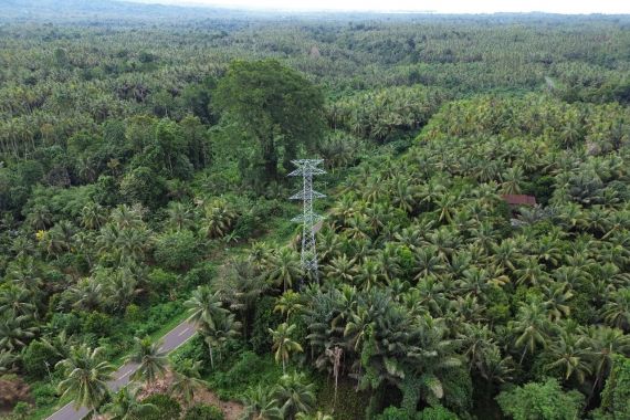 PLN UIP MPA Bangun 577 Tower Transmisi 150 kV, Tambah Pasokan Listrik di Halmahera