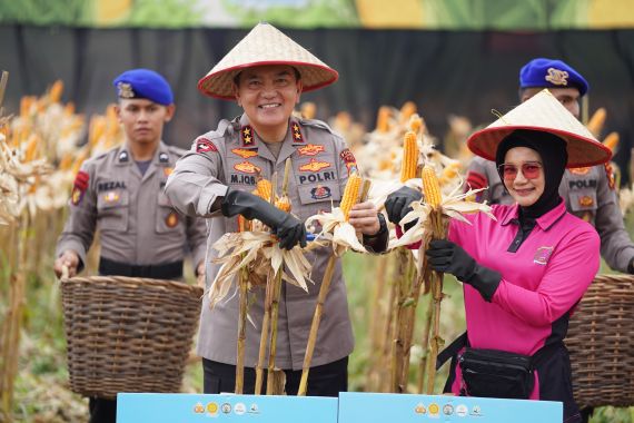 Dukung Ketahanan Pangan, Polda Riau Panen 156 Ton Jagung