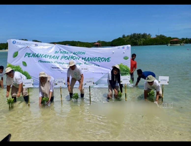 BI Jakarta Tanam 12 Ribu Mangrove di Kepulauan Seribu