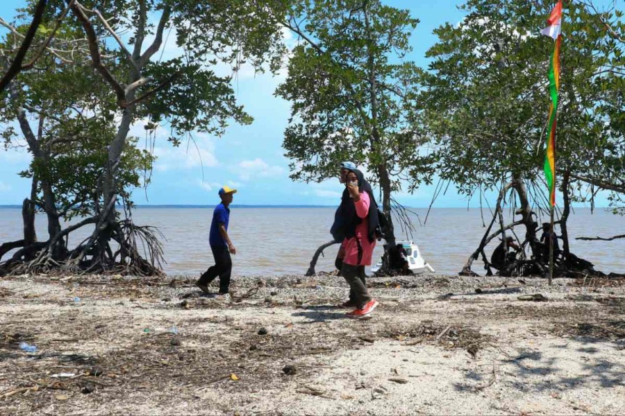 Jelajahi Pesona Alam Indragiri Hilir: Permata Tersembunyi di Timur Riau