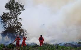 Empat Titik Karhutla di Riau Masih Ditangani, Tim Gabungan Bergerak Cepat Lakukan Pemadaman
