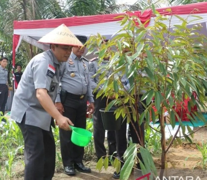 Lapas Bangkinang jadi uji coba ketahanan pangan, tanam 100 bibit Musang King