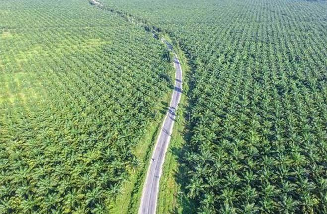 Riau Terdepak dari Program Hilirisasi Migas, Dahlan Tampubolon: Cocoknya di Ketahanan Energi