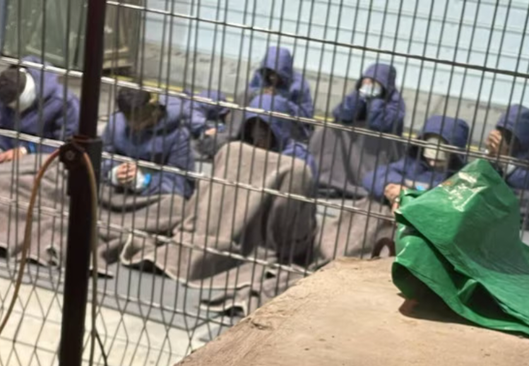 Israel Bawa Relawan dan Aktivis Sumud Flotilla ke Penjara Negev