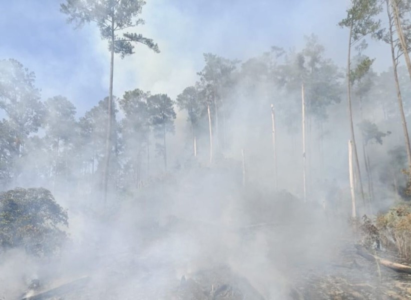 BNPB Catat Rentetan Bencana Karhutla dan Angin Kencang dalam 24 Jam Terakhir