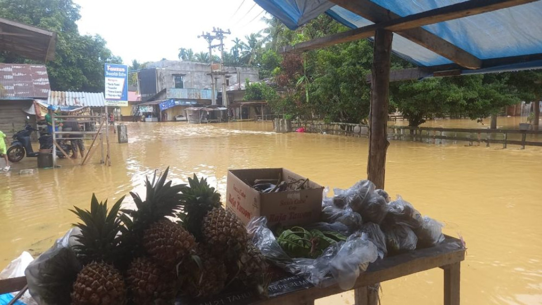 Ratusan Rumah Terendam Banjir di Riau, Warga Pelalawan, Kampar, dan Siak Terdampak