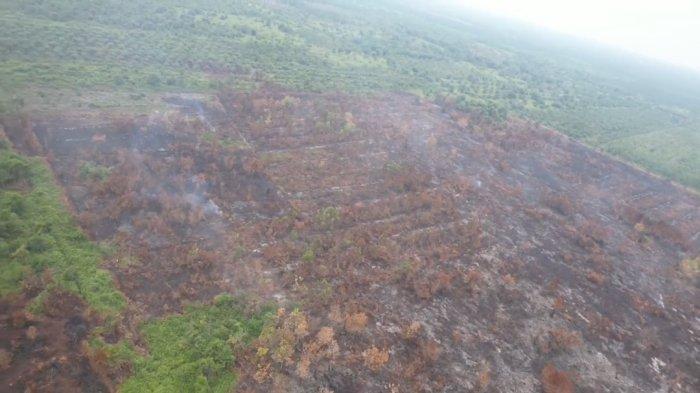 Kasus Karhutla di Kampar Meningkat, BPBD Kekurangan Armada Pemadaman