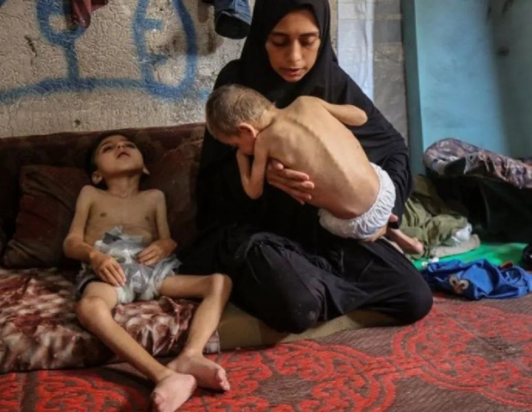 Gaza Butuh Aksi, Bukan Sekedar Harapan Perdamaian