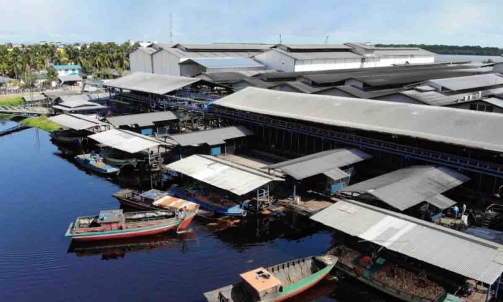Sebanyak 3.128 Pekerja Sambu Group di Inhil Terkena PHK Massal, Disnaker Riau Siapkan Beberapa Solusi