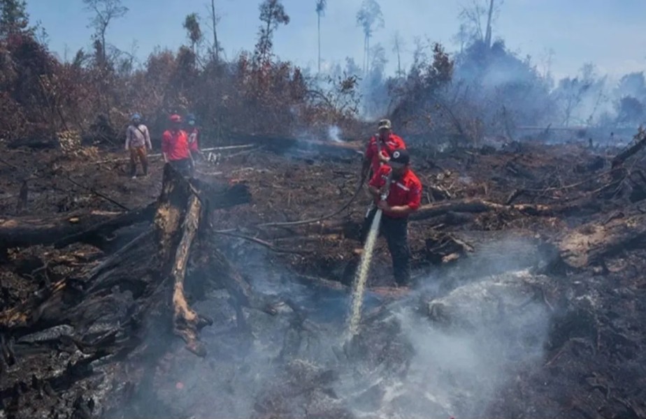 Semua kabupaten/kota di Riau Sudah Tetapkan Status Siaga Darurat Karhutla