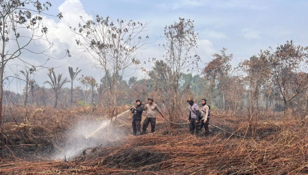 Karhutla di Kepulauan Meranti : satu tersangka diamankan, petugas masih berjibaku padamkan api
