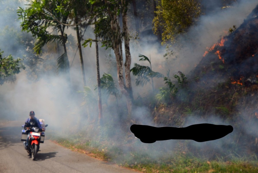 Pertanian Berkelanjutan Solusi Cegah Karhutla