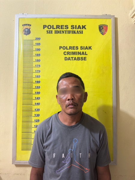 Dugaan Pencurian di Kebun Palapa PT. Ivo Mas, 16 Janjang Kelapa Sawit Raib