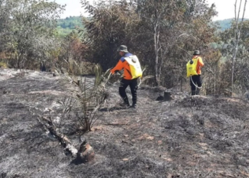 72 Titik Panas Terpantau di Riau, Asap Karhutla Mulai Tercium