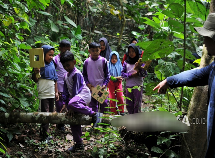 Indonesia dan Inggris Kembangkan Model Pembiayaan Alam Berkelanjutan