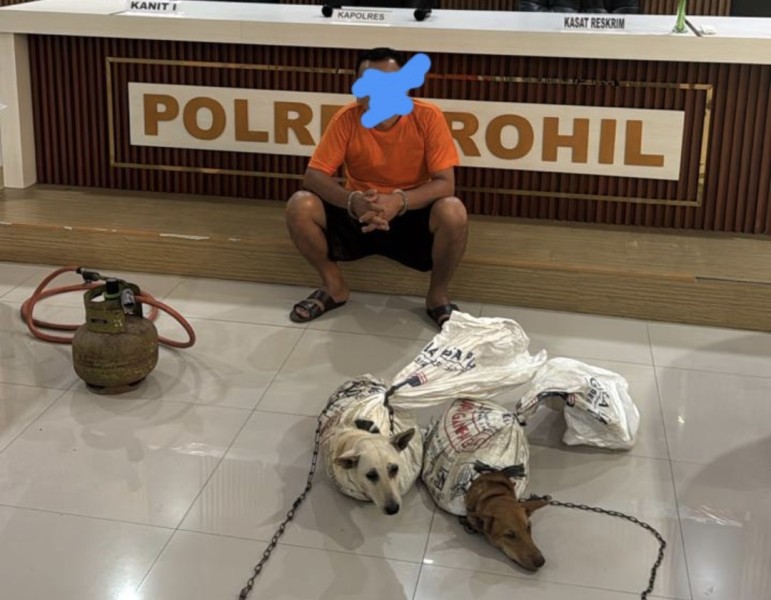 Polres Rohil Tangkap Pelaku Penganiayaan Hewan