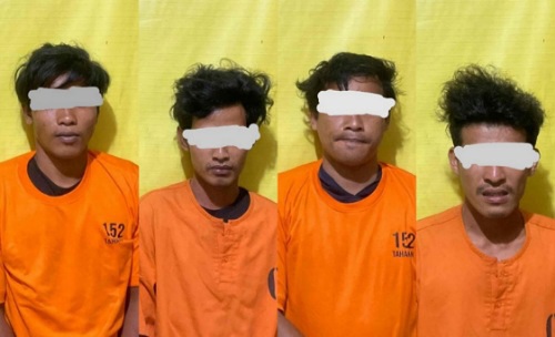 Empat Warga Kerumutan Diciduk Polisi, Curi Sawit Perusahaan di Pelalawan